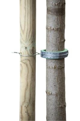 Softboomband groen 30x2,5cm set a 2 stuks - Nature