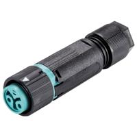 Wieland Electric 46.031.4951.6 Steekverbinder