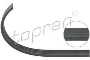 Topran Poly V-riem 202 334