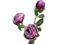 Roze 3 knoopjes violet - Buitengewoon de boet