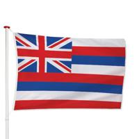 Hawaiiaanse Vlag - thumbnail