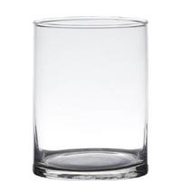 Hakbijl Glass Cilinder vaas - glas - transparant - D12 x H15 cm