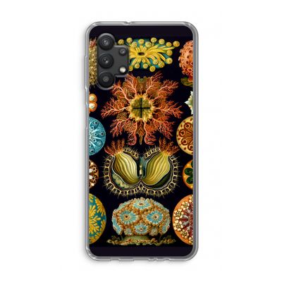 Haeckel Ascidiae: Samsung Galaxy A32 5G Transparant Hoesje