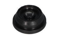Veerpoot SSM10150