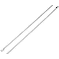 TRU COMPONENTS 1592753 TC-BST-300L203 RVS-kabelbinder 300 mm 7.90 mm Zilver 1 stuk(s) - thumbnail