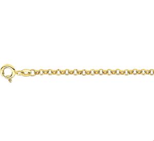 TFT Armband Goud Jasseron 2,5 mm 13 cm