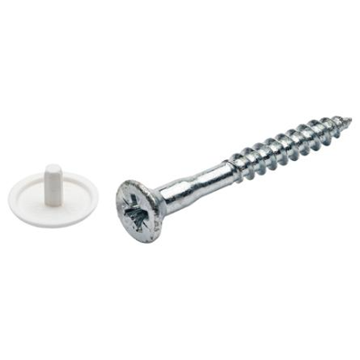 Homefix Kopboringschroef Vz Pk PZ2 Met Kap Wit 4.5X30 | 10 stuks - 6701.20.42010