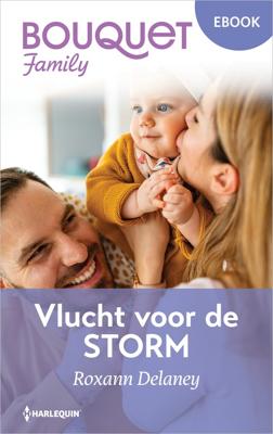 Vlucht voor de storm - Roxann Delaney - ebook
