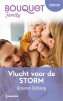 Vlucht voor de storm - Roxann Delaney - ebook