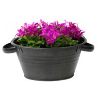 Teil bloempot/plantenpot - zink - zwart - D40 x H14 cm