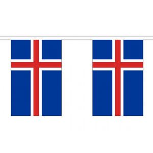 Stoffen vlaggenlijn IJsland 3 meter   -