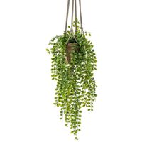 Kunst hangplant Ficus in pot met touwen 16 cm - thumbnail