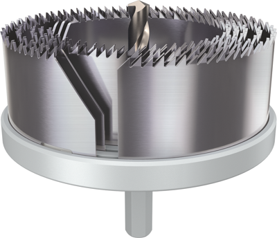 Bosch Accessoires Gatzaagset voor hout en gipsplaat | 68; 74; 80; 90; 100 x 31 mm - 2608594505