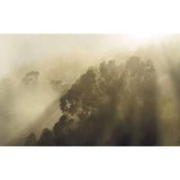 Fotobehang - Misty Mountain 400x250cm - Vliesbehang