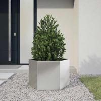 VidaXL Plantenbak zeshoek 69x60x45 cm roestvrijstaal