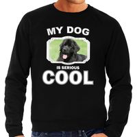 Honden liefhebber trui / sweater Newfoundlander  my dog is serious cool zwart voor heren - thumbnail