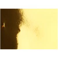 Creativ Company Metallic papier, a4, vel 210x297 mm, 120 gr, goud, 100 vel/ 1 doos
