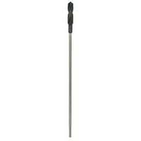 Bosch Accessories 2608597415 Bekistingsboor 24 mm Gezamenlijke lengte 600 mm SDS-Plus 1 stuk(s)