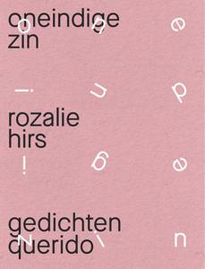 oneindige zin (Paperback)