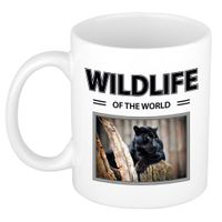 Zwarte panter mok met dieren foto wildlife of the world Zwarte panter mok met dieren foto wildlife of the world