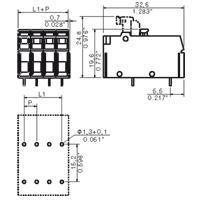 Weidmüller 1755190000 Klemschroefblok 4 mm² Aantal polen 1 Zwart 100 stuk(s)