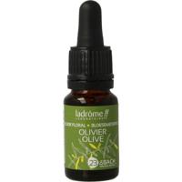 Ladrome Olijf bio