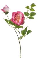 Rose liza spray x3 pink 80 cm Emerald - Emerald