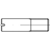 TOOLCRAFT TO-5394726 Tapeind M5 Staal Galvanisch verzinkt 100 stuk(s)