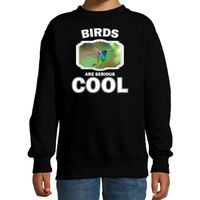 Sweater birds are serious cool zwart kinderen - vogels/ kolibrie vogel trui 14-15 jaar (170/176)  -