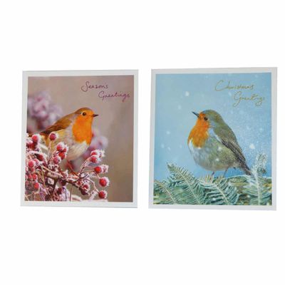 Kerstkaart - Vogels (Set van 10)