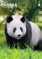 Panda A3 Kalender 2026