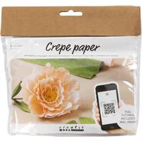 https://www.cchobby.nl/mini-hobbyset-crepepapier-pioenroos-crepe-verhouding-180-105-gr-1-doos