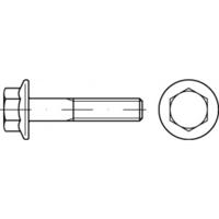 TOOLCRAFT TO-5391402 Zeskantbout M12 80 mm Buitenzeskant 50 stuk(s) - thumbnail