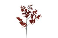 Decostar kunsttak Eucalyptus Cinerea 94 cm rood