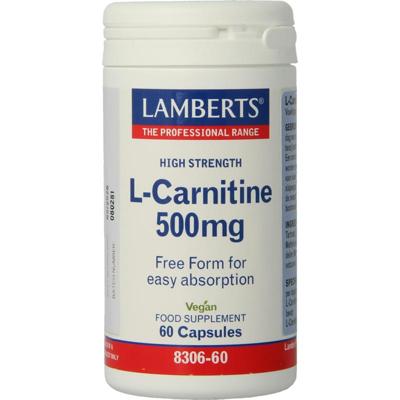 Lamberts L-Carnitine 500mg