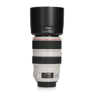 Canon Canon EF 70-300mm F4.0-5.6 L IS USM