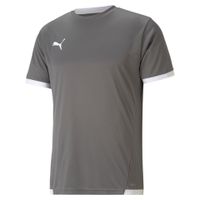 PUMA teamLIGA Voetbalshirt Grijs Wit