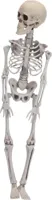 Halloween figuur skelet 40cm wit
