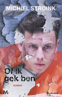 Of ik gek ben - Michiel Stroink - ebook