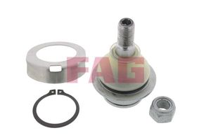 Fuseekogel 825010410