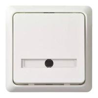 ELSO-toets 506224 42V/1A opbouw RENOVATIE rw 1 stuk(s)