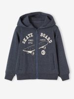 Sweater met rits, capuchon en skatemotief voor jongens grijsblauw - thumbnail