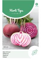 Bieten Chioggia - Hortitops Bieten Chioggia - Hortitops