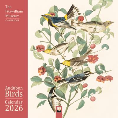 Audubon Birds Kalender 2026