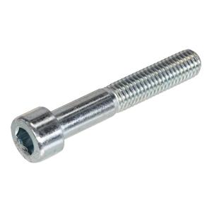 Hoenderdaal Binnenzeskantbout Vz 8.8 Ck Ib-8 Din912 M10X25 | 200 stuks - 2160.11.69101