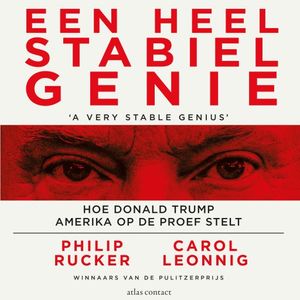 Een heel stabiel genie