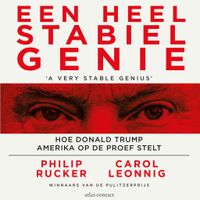 Een heel stabiel genie