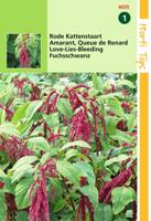Zaden Amaranthus Rode Kattenstaart Hortitops - Hortitops