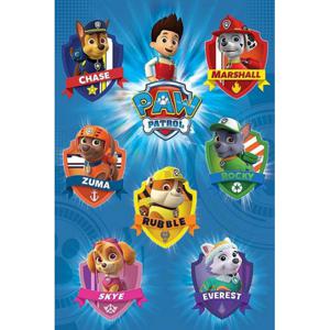 Poster - Paw Patrol - 61 x 91,5 cm - Muur decoratie - Kinder posters