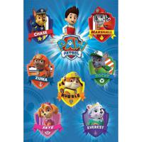 Poster - Paw Patrol - 61 x 91,5 cm - Muur decoratie - Kinder posters